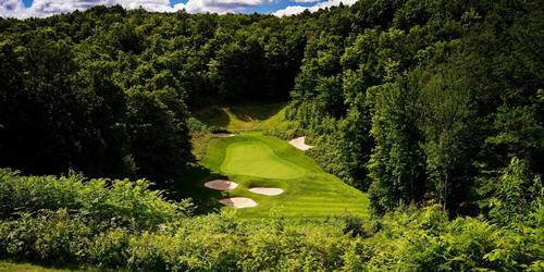 THREETOPS AT TREETOPS