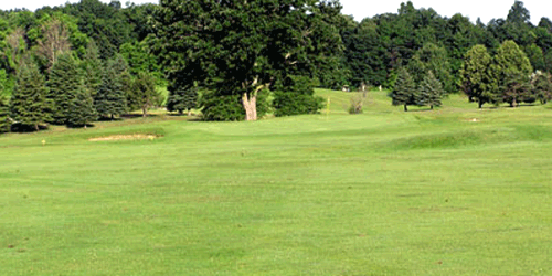 Bald Mountain Golf Course