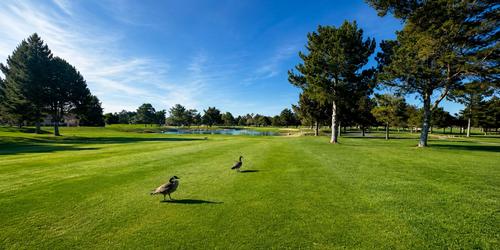 Indian Lakes Golf Club