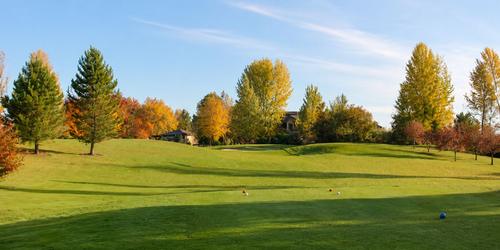 River Birch Public Golf Course 