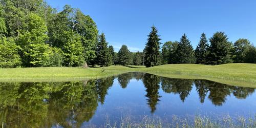 Riverwood Resort